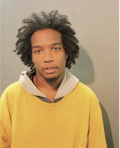 MICHAEL D HARDIMAN, Cook County, Illinois