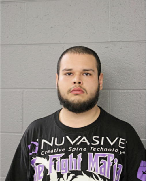 MARIO JAIME, Cook County, Illinois