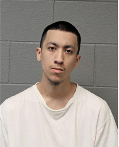 ISIDRO MERAZ, Cook County, Illinois
