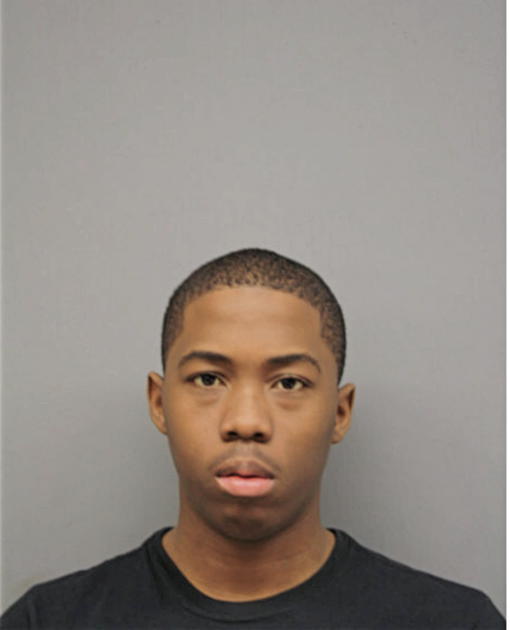 JALEN E MINOR, Cook County, Illinois
