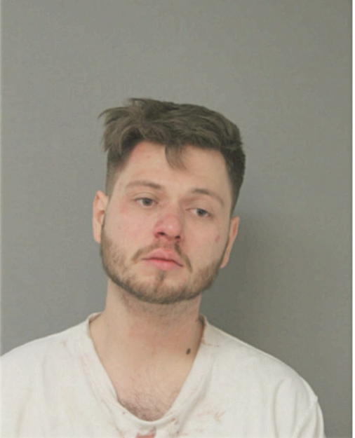 KENNETH R NELLIS, Cook County, Illinois