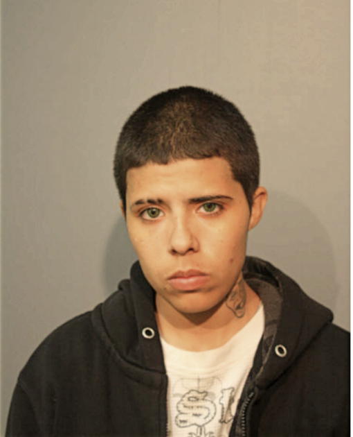 DELIANA J NIEVES, Cook County, Illinois