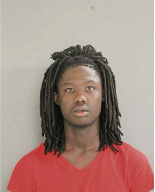 DEREK J NORMAN, Cook County, Illinois