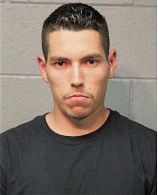 MARTIN ROBLES, Cook County, Illinois