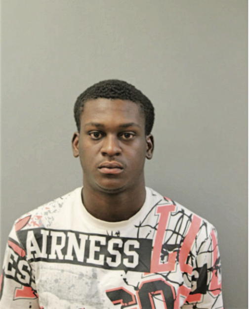 DEVON L RUSHIN, Cook County, Illinois