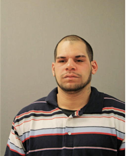 ANTHONY I SANCHEZ, Cook County, Illinois