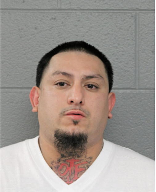 MICHAEL TORRES, Cook County, Illinois