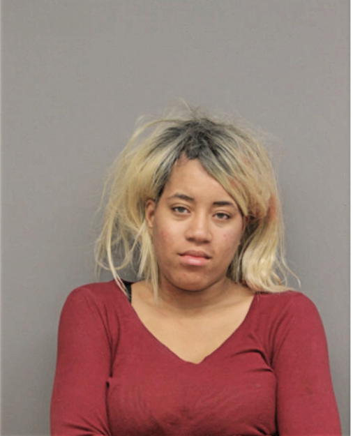 BRIANNA L WILLIAMS, Cook County, Illinois