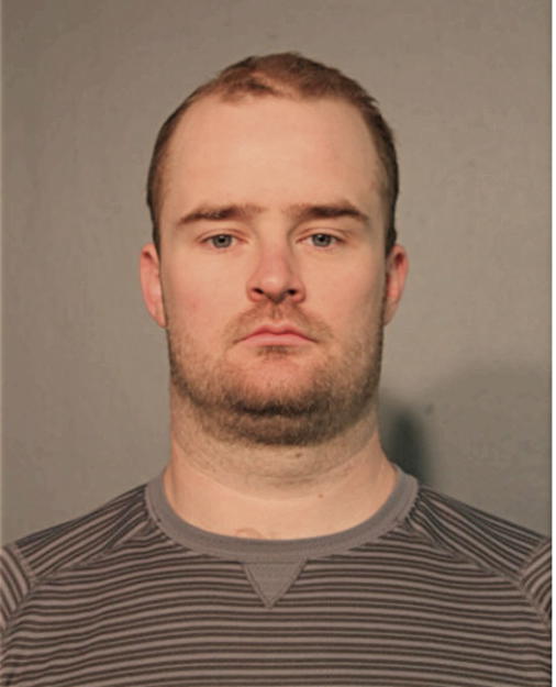 SEAN J WILLIAMS, Cook County, Illinois