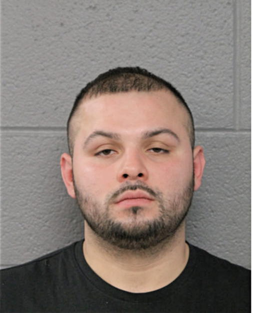 GIBRAN BANALES, Cook County, Illinois