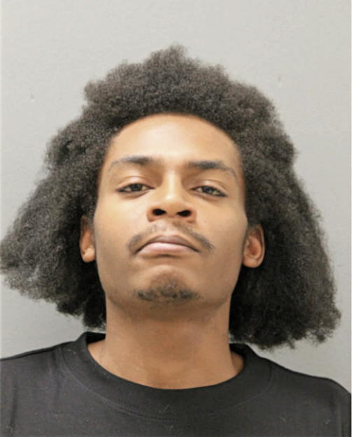 DION L BELL, Cook County, Illinois