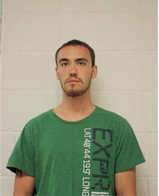 ADAM J BURTON, Cook County, Illinois