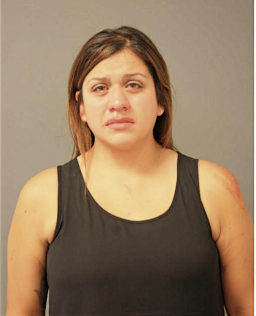 KARINA L CASTANON, Cook County, Illinois