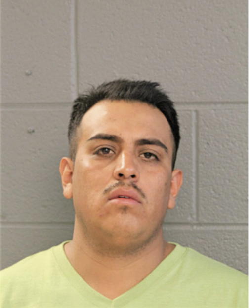 TOMAS A CELIS, Cook County, Illinois