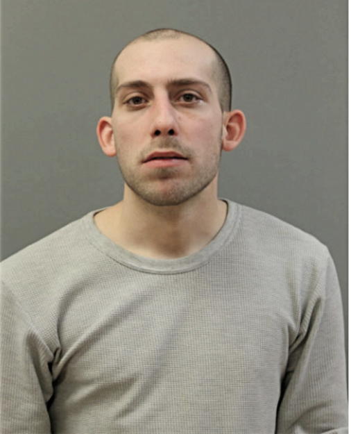 STEVEN C DELFINO, Cook County, Illinois