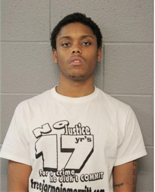 JAYVONNIE J DELT, Cook County, Illinois