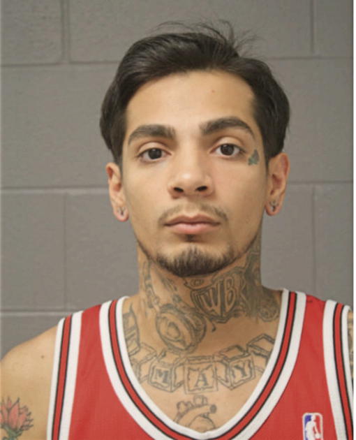FERNANDO I DIAZ, Cook County, Illinois