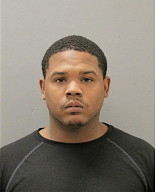BRANDON G MERKSON, Cook County, Illinois