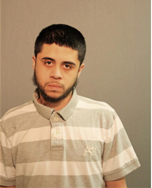LUIS A GARCIA, Cook County, Illinois