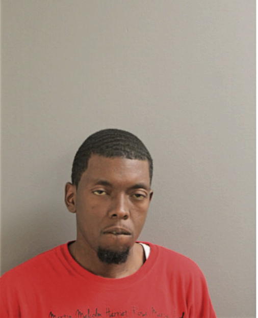 MICHAEL HAYES, Cook County, Illinois