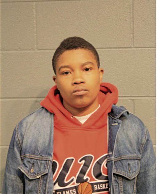 AMBER JOHNSON, Cook County, Illinois