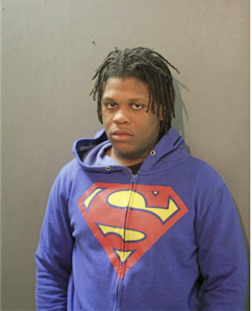 FERNANDO L LITTLE, Cook County, Illinois