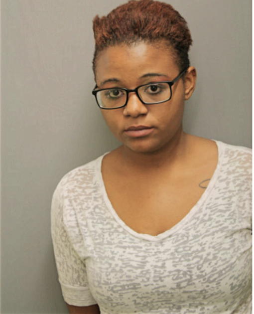 NATASHA J LOFTON, Cook County, Illinois