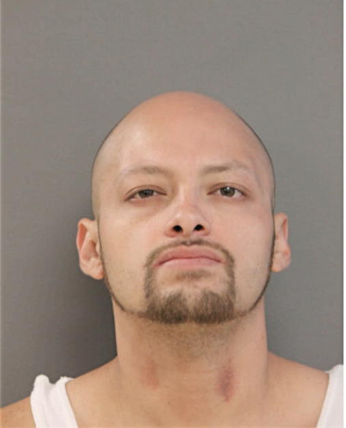 EVERADO R MEJIA, Cook County, Illinois