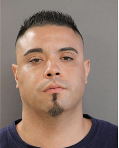 JOSEPH M PAVON, Cook County, Illinois