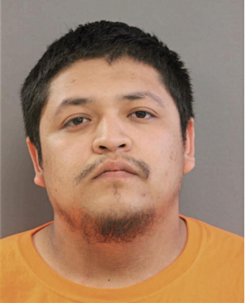 JOSE D PERDOMO, Cook County, Illinois
