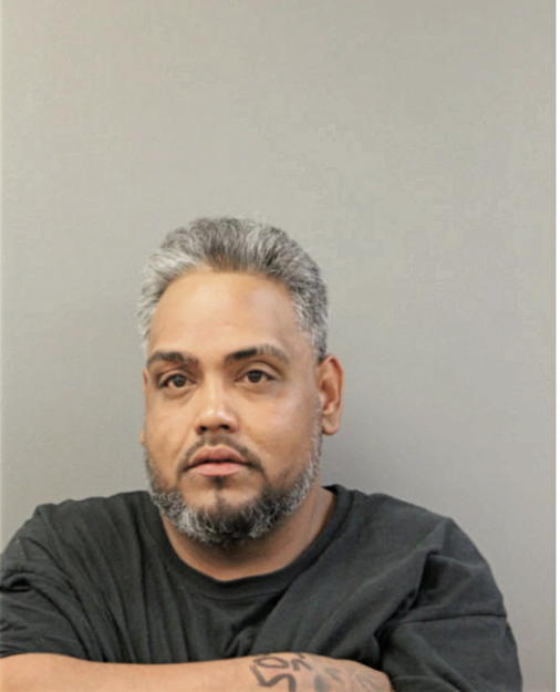 ALEJANDRO J PEREZ, Cook County, Illinois