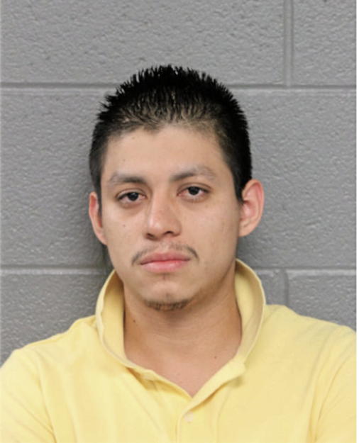 ALEX A PEREZ-ALVAREZ, Cook County, Illinois