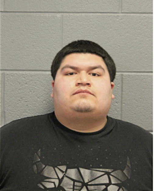 HUGO PULIDO, Cook County, Illinois