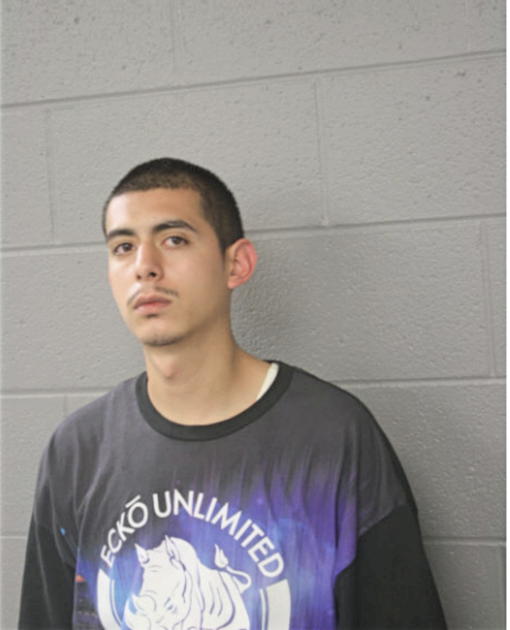 SERGIO REYES, Cook County, Illinois