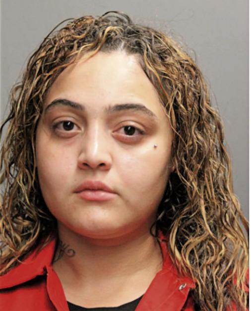YASMIN M RODRIGUEZ, Cook County, Illinois