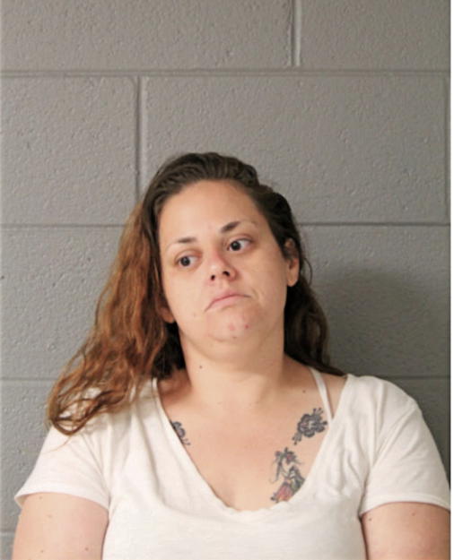 ERIN M STALEY, Cook County, Illinois