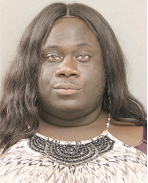MEGHAN L WILLIAMS, Cook County, Illinois