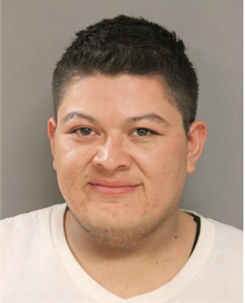 CARLOS ALFEREZ, Cook County, Illinois