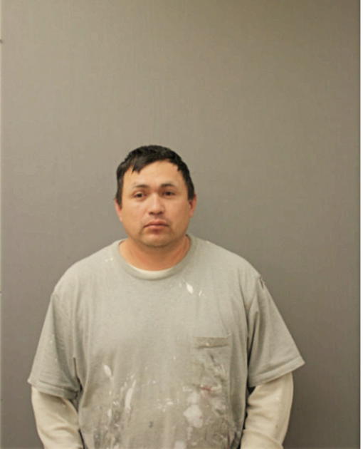 CESAR ARTEAGA, Cook County, Illinois