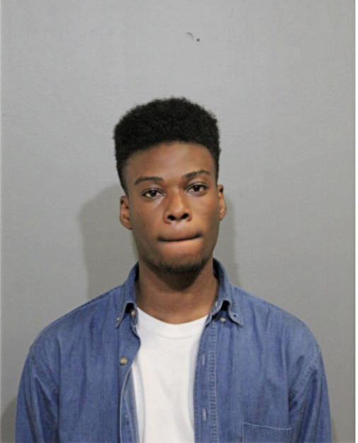 DAMILOLA BELLO, Cook County, Illinois
