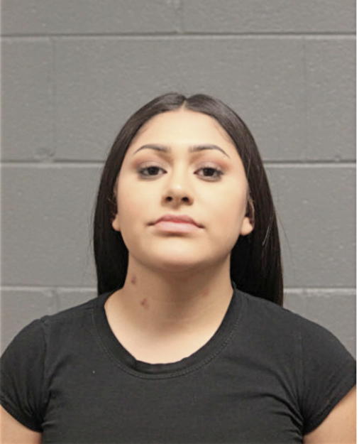SARA A CAMACHO, Cook County, Illinois