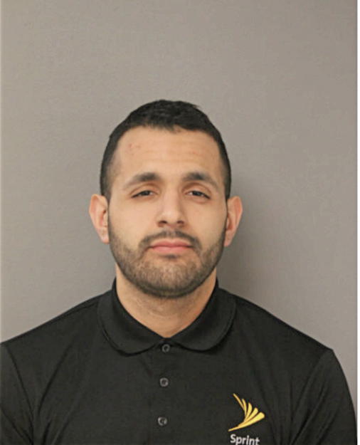 LUIS ANGEL DELEON, Cook County, Illinois