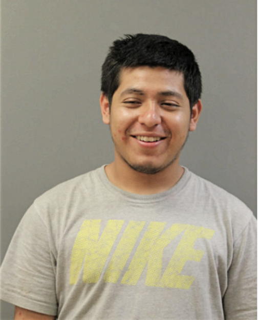 MIGUEL DIAZ, Cook County, Illinois