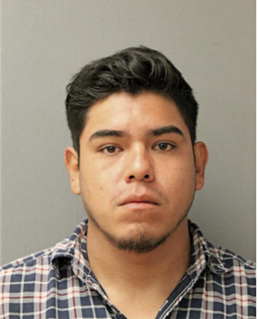 CHRISTIAN FLORES, Cook County, Illinois