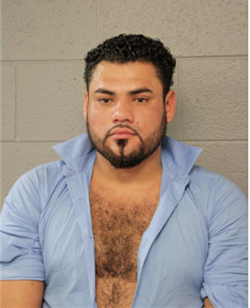 RAMIRO FLORES, Cook County, Illinois