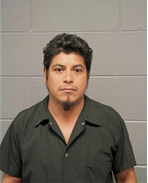 RICARDO GARCIA, Cook County, Illinois