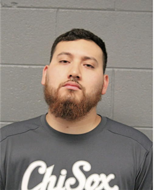 HUGO GONZALEZ-LEMUS, Cook County, Illinois