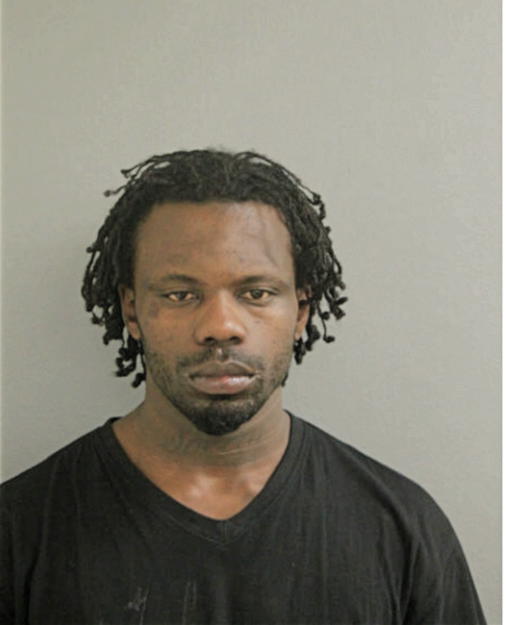 LOUIS J JOHNSON, Cook County, Illinois