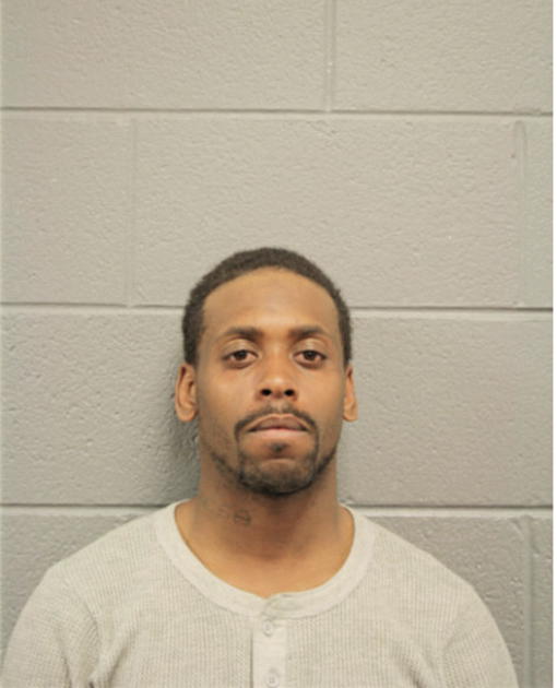 MICHAEL A JOHNSON III, Cook County, Illinois