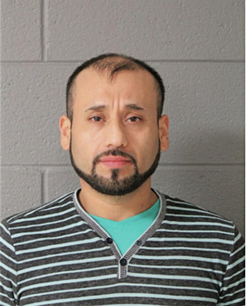 CRISTIAN LANDA, Cook County, Illinois